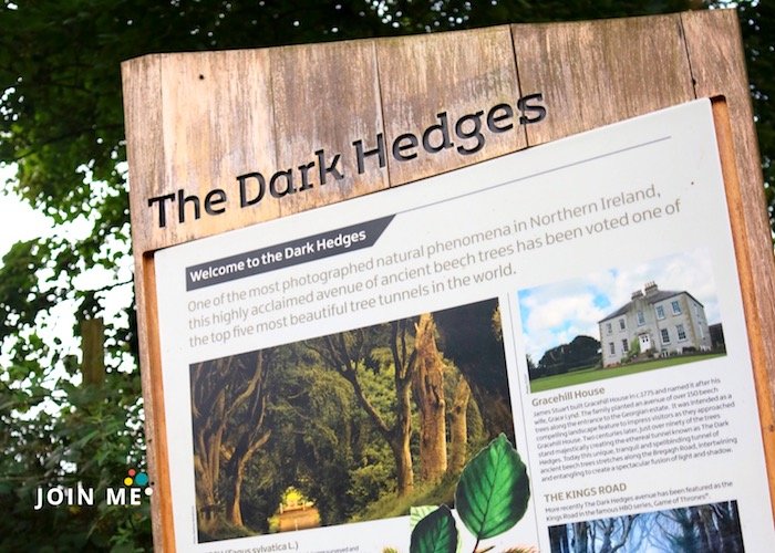 北愛爾蘭 Northern Ireland：黑樹籬（The Dark Hedges），權力遊戲場景